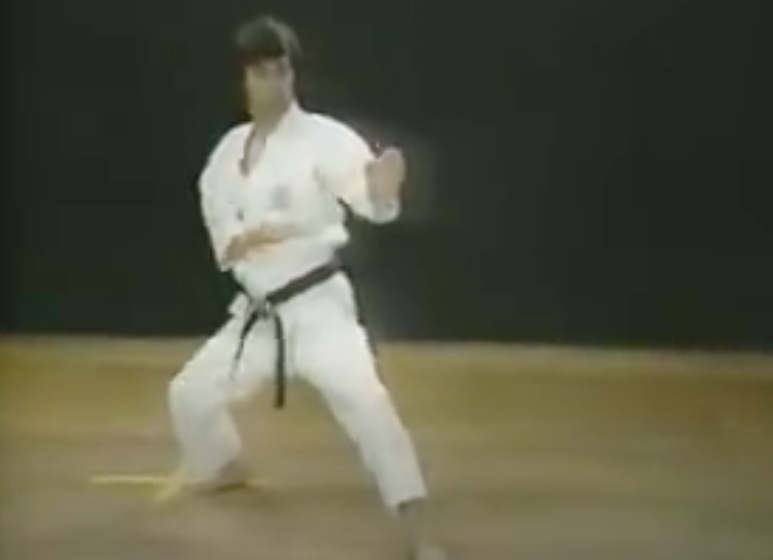 What is Shotokan Karate?